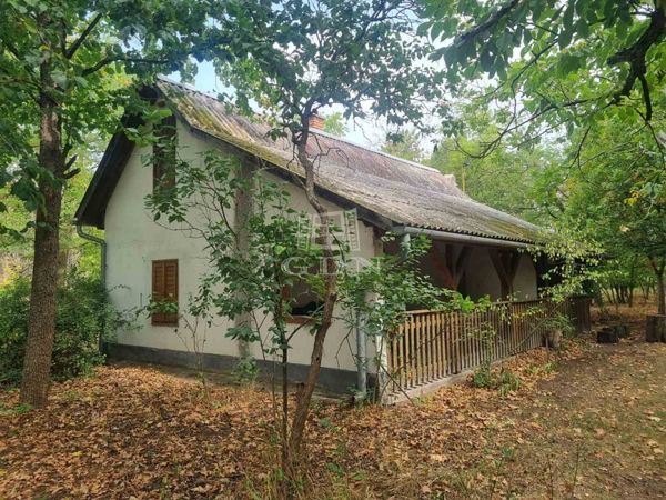 出卖 Nyárlőrinc 农场