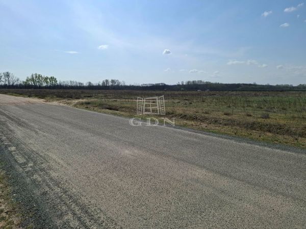 Eladó Ballószög Ipari terület