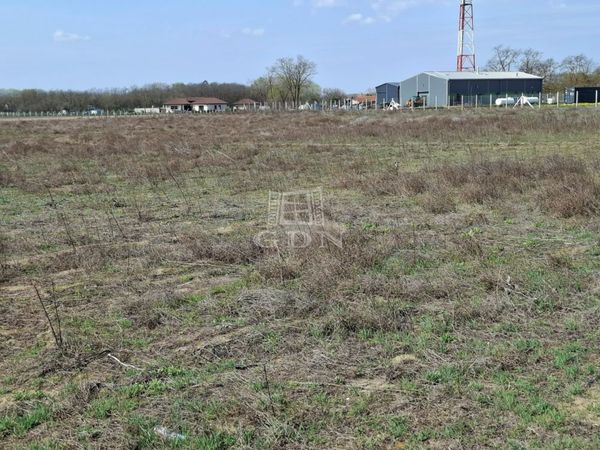 Eladó Ballószög Ipari terület