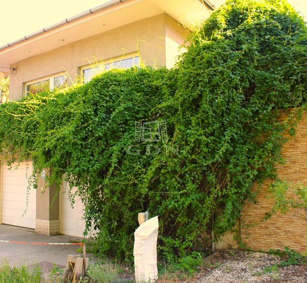 Verkauf Szigetszentmiklós Einfamilienhaus