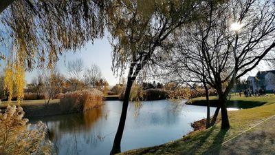 Taksony Building lot - 40.000.000 HUF