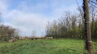 Kiskunlacháza Telek - 9.900.000 Ft