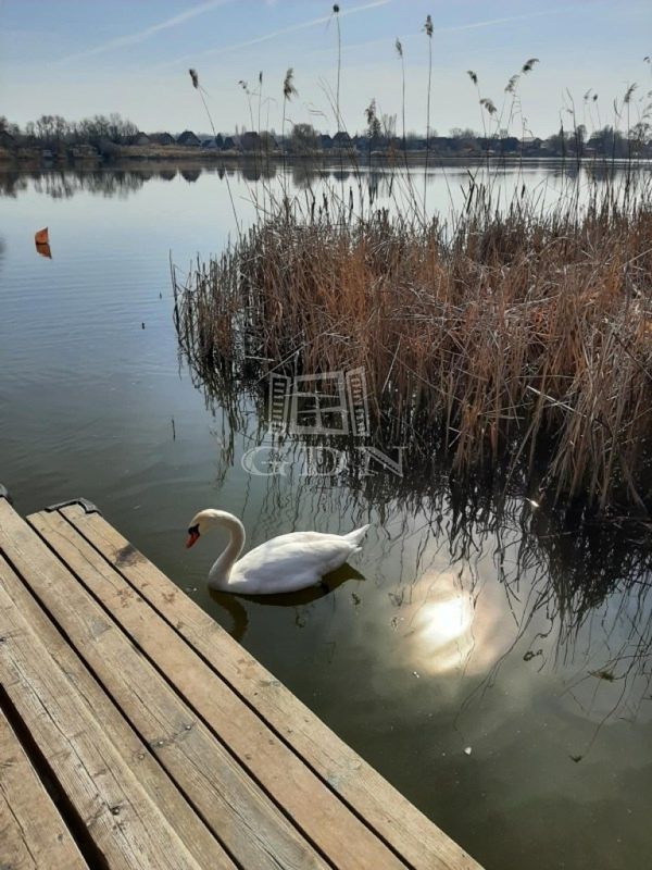 Vânzare Szigethalom Primărie