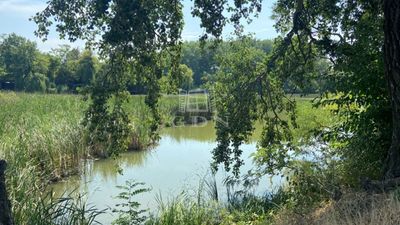 Szigetcsép Telek - 45.000.000 Ft