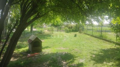 Szigetújfalu Telek - 15.900.000 Ft