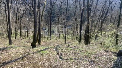 Kismaros Teren pentru constructii - 31.890.000 HUF