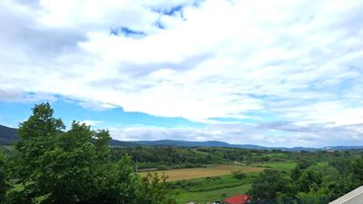 Pilisborosjenő Primărie - 95.500.000 HUF