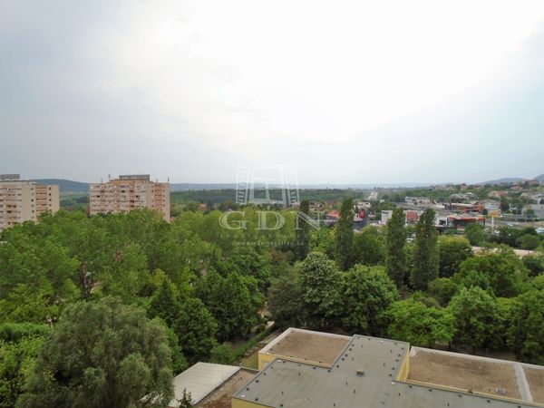 Kiadó Budapest XI. kerület Lakás