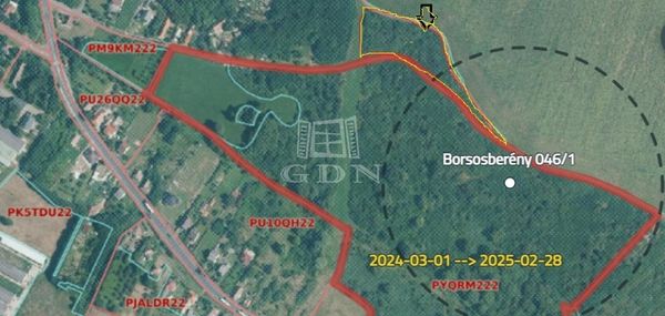 Eladó Borsosberény Mezőgazdasági terület