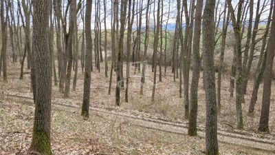 Borsosberény Agricultural area - 5.900.000 HUF