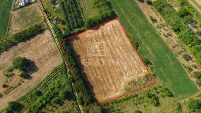 Kosd Telek - 12.000.000 Ft