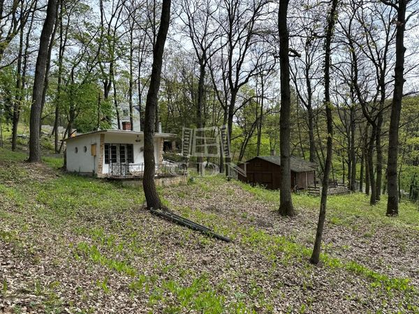 Verkauf Kismaros Ferienwohnung