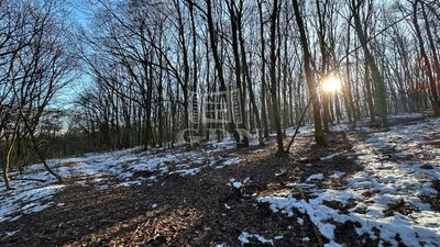 Kismaros Telek - 5.500.000 Ft