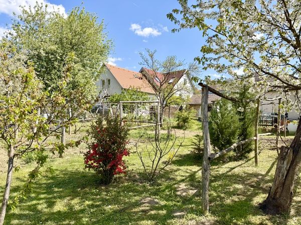 Eladó Alsópetény Családi ház