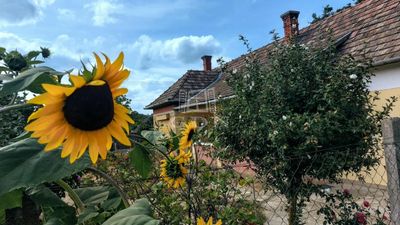 Somogyszentpál Einfamilienhaus - 25.000.000 HUF