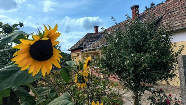 Verkauf Somogyszentpál Einfamilienhaus