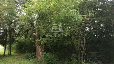 Nagykutas Wohngrundstück - 2.990.000 HUF