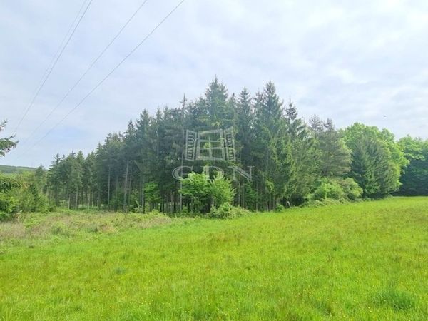 Verkauf Nagyrákos Landwirtschaftliche Flächen