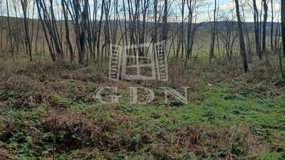 Sárhida Landwirtschaftliche Flächen - 1.100.000 HUF
