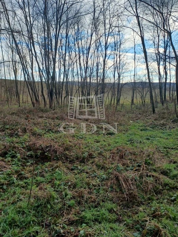 Verkauf Sárhida Landwirtschaftliche Flächen