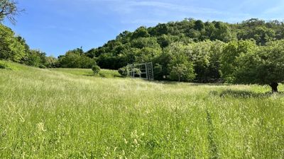 Zalaegerszeg Telek - 24.900.000 Ft