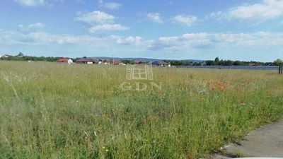 Berhida Telek - 18.500.000 Ft