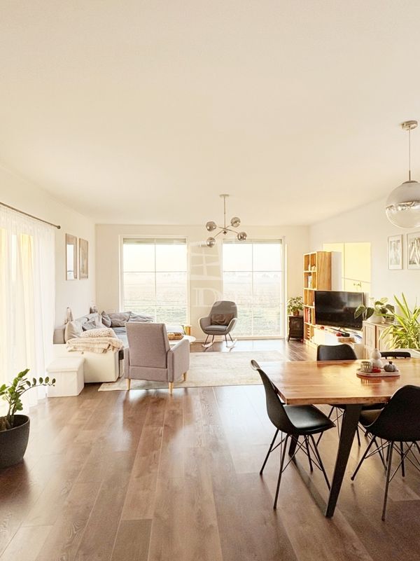 Eladó Vilonya Családi ház