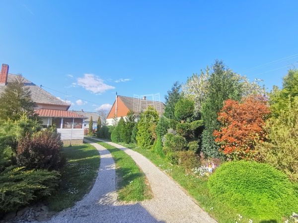 Vânzare Gelse Casa Familiala