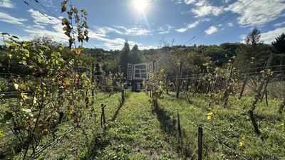 Homokkomárom Nyaraló - 6.500.000 Ft